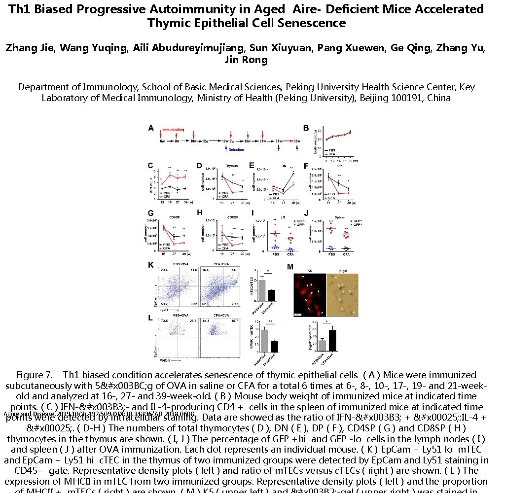 Th 1 Biased Progressive Autoimmunity in Aged Aire- Deficient Mice Accelerated Thymic Epithelial Cell