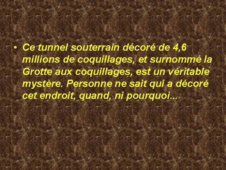  • Ce tunnel souterrain décoré de 4, 6 millions de coquillages, et surnommé