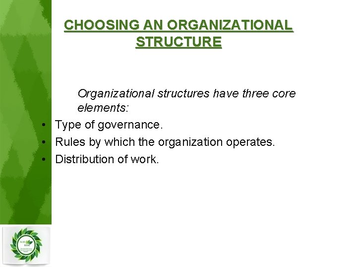 CHOOSING AN ORGANIZATIONAL STRUCTURE Organizational structures have three core elements: • Type of governance.