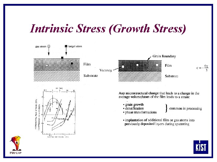 Intrinsic Stress (Growth Stress) 