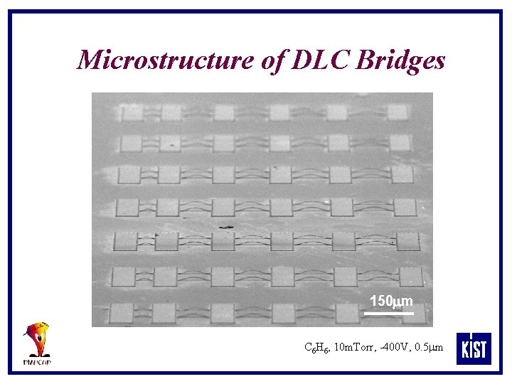 Microstructure of DLC Bridges 150 mm C 6 H 6, 10 m. Torr, -400