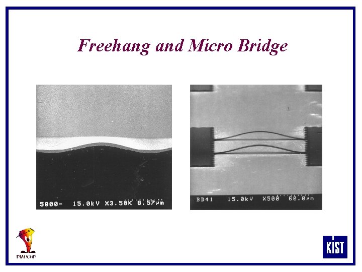 Freehang and Micro Bridge 