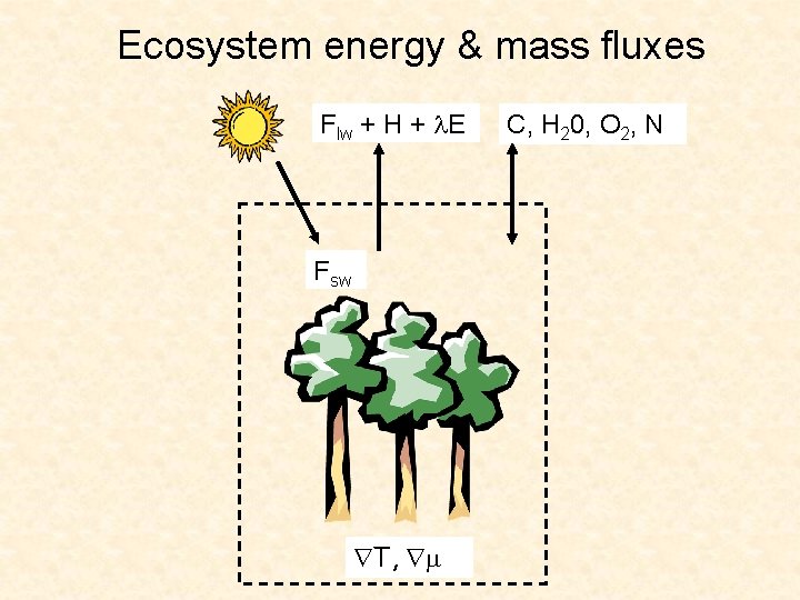Ecosystem energy & mass fluxes Flw + H + E Fsw T, C, H