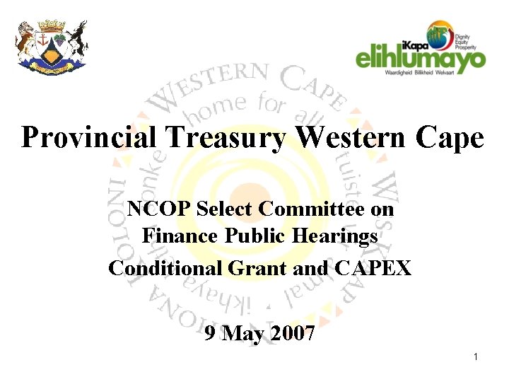 Provincial Treasury Western Cape NCOP Select Committee on Finance Public Hearings Conditional Grant and