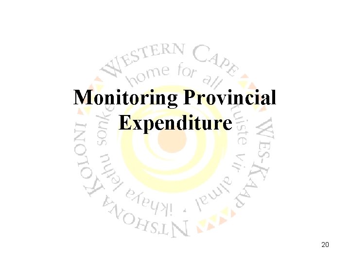 Monitoring Provincial Expenditure 20 