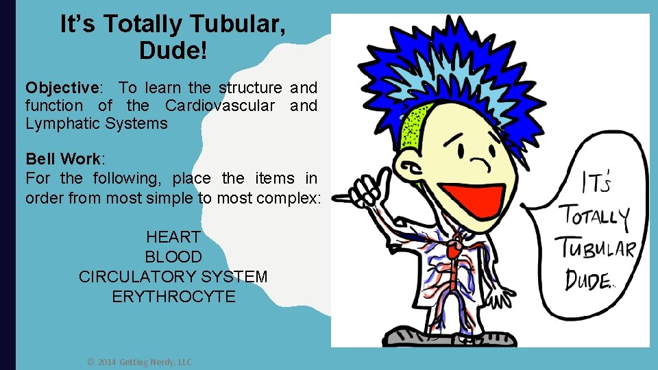 It’s Totally Tubular, Dude! Objective: To learn the structure and function of the Cardiovascular
