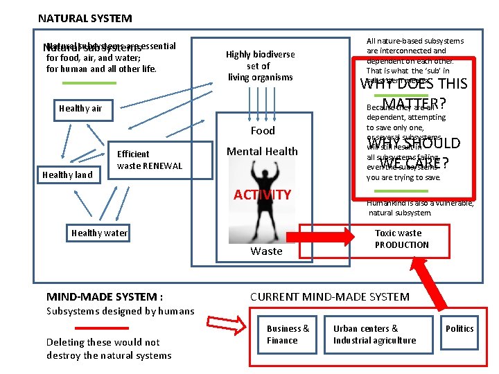 NATURAL SYSTEM Natural subsystems are essential Natural subsystems for food, air, and water; for