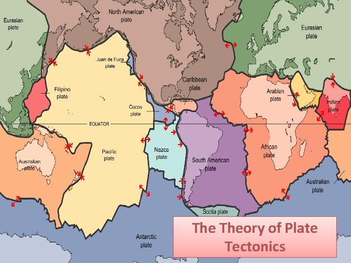 The Theory of Plate Tectonics The Theory of Plate Tectonics