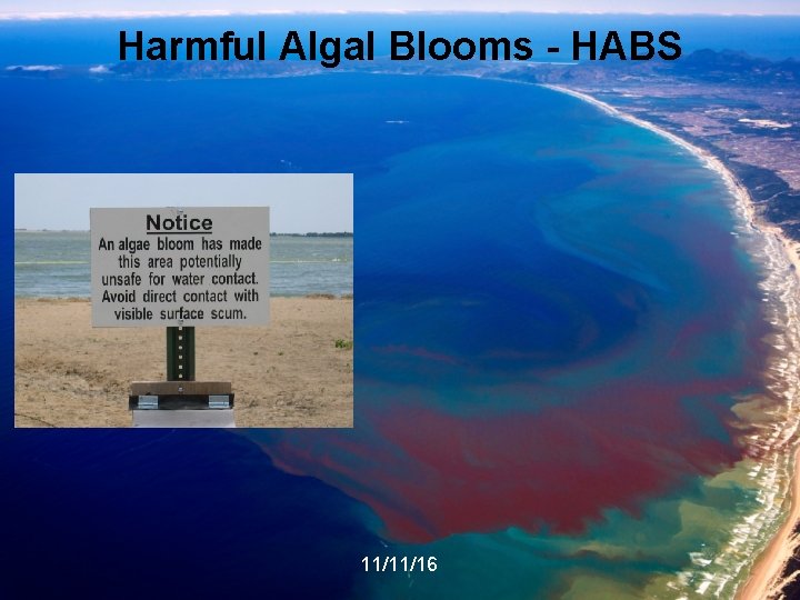 Harmful Algal Blooms - HABS 11/11/16 