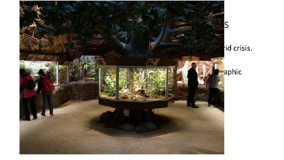Modern collections containing herptiles • Rise in interest in keeping amphibians in line with