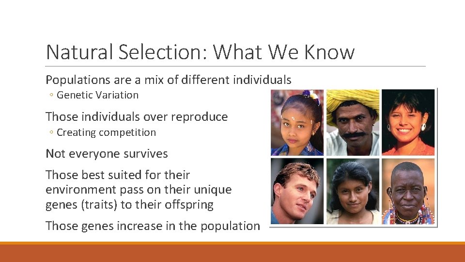 Natural Selection: What We Know Populations are a mix of different individuals ◦ Genetic