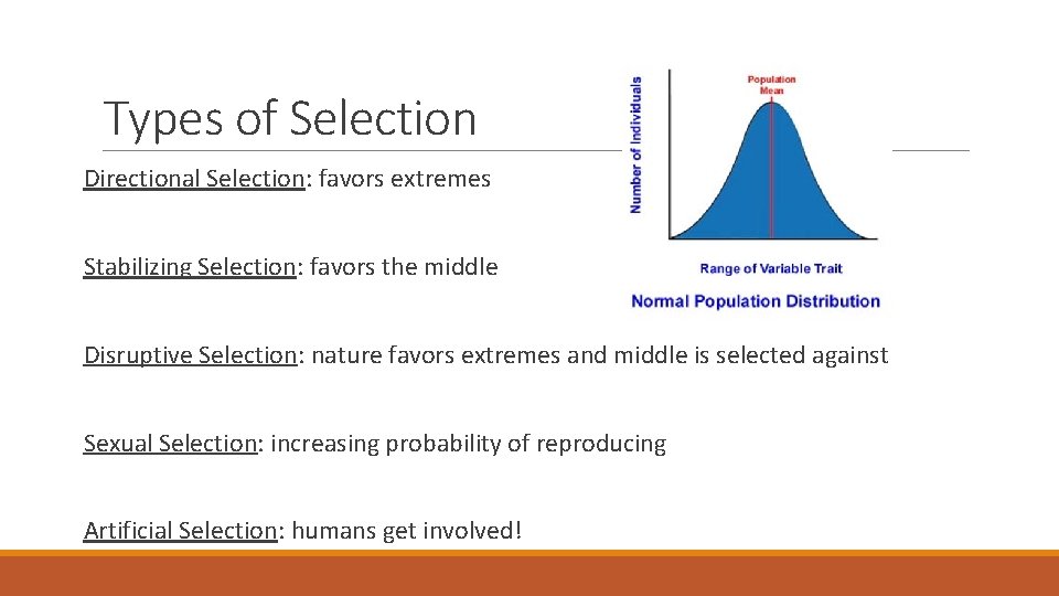 Types of Selection Directional Selection: favors extremes Stabilizing Selection: favors the middle Disruptive Selection: