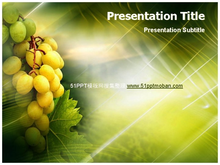 Presentation Title Presentation Subtitle 51 PPT模板网搜集整理 www. 51 pptmoban. com 