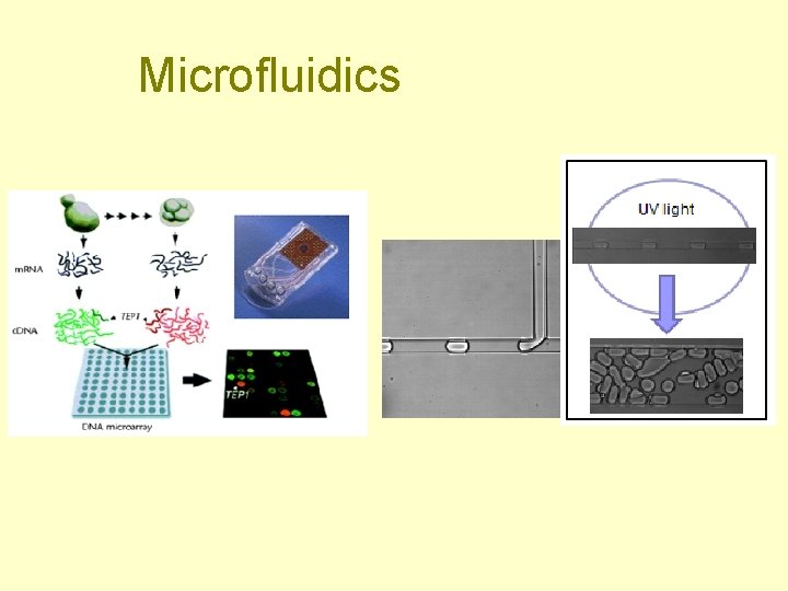 Microfluidics 