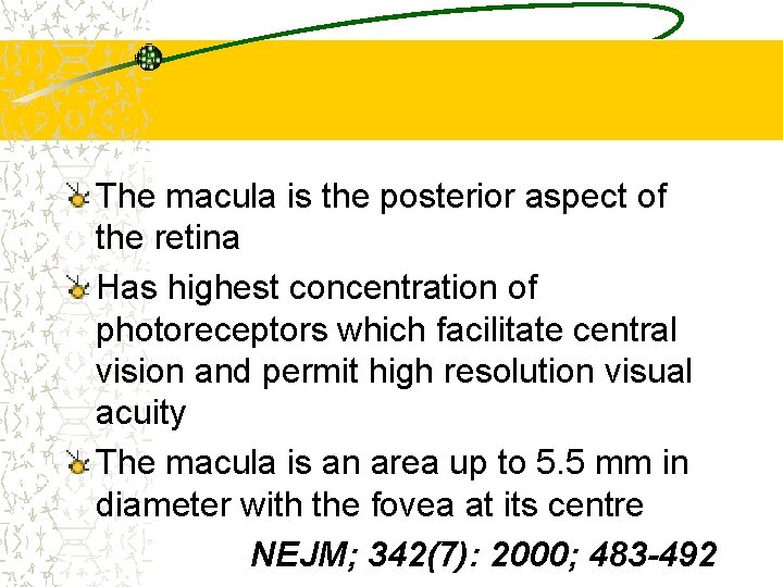 The macula is the posterior aspect of the retina Has highest concentration of photoreceptors