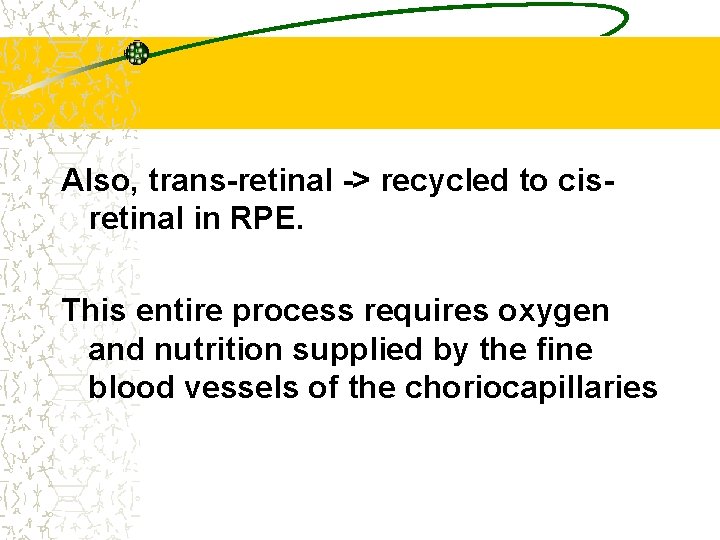 Also, trans-retinal -> recycled to cisretinal in RPE. This entire process requires oxygen and