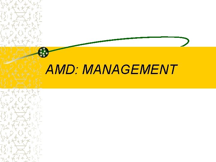 AMD: MANAGEMENT 
