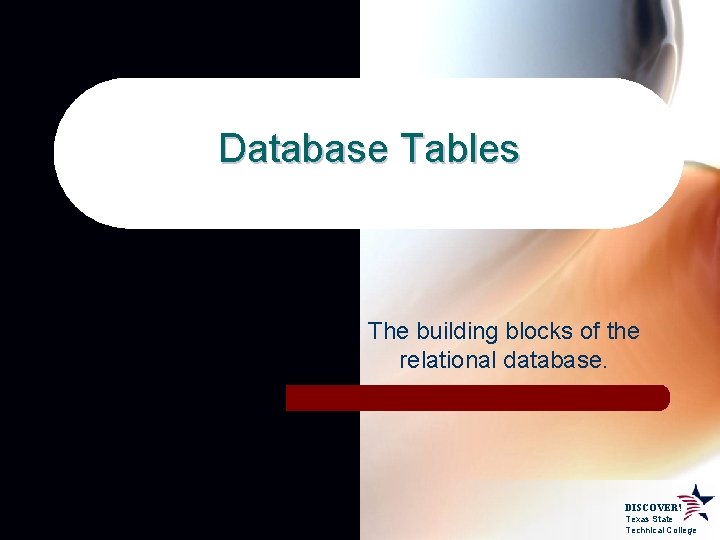 Database Tables The building blocks of the relational database. DISCOVER! Texas State Technical College