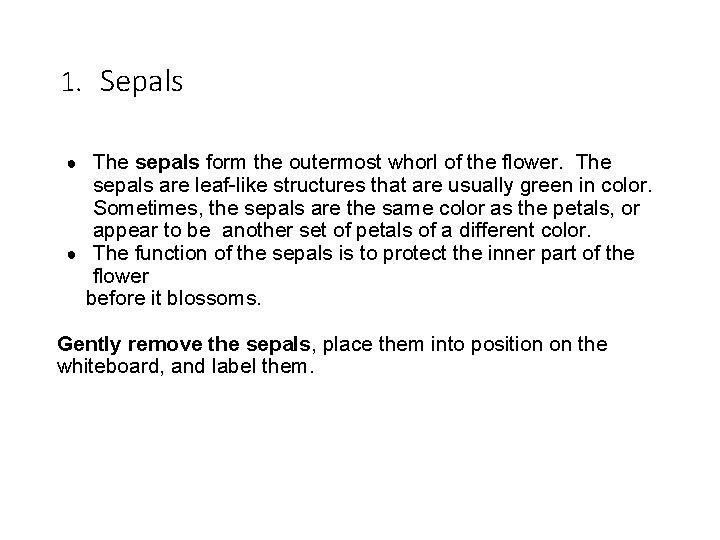 1. Sepals ● The sepals form the outermost whorl of the flower. The sepals