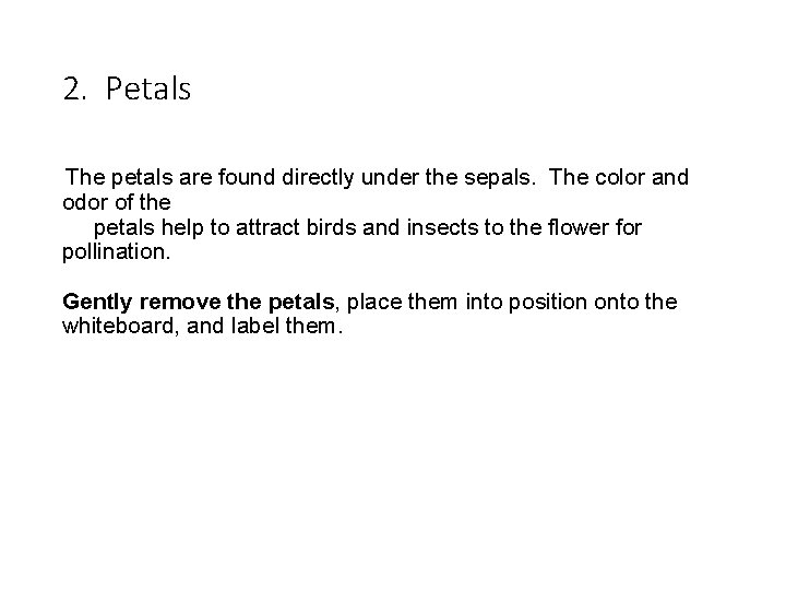2. Petals The petals are found directly under the sepals. The color and odor