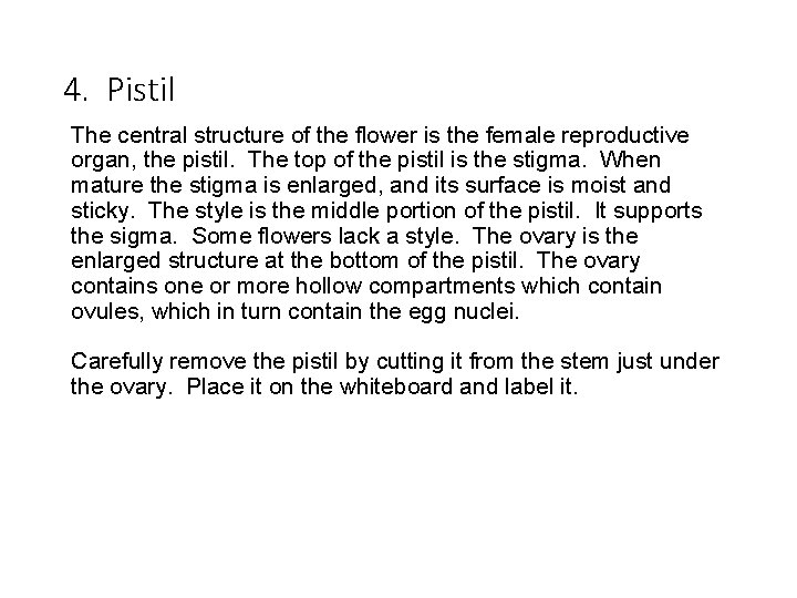 4. Pistil The central structure of the flower is the female reproductive organ, the