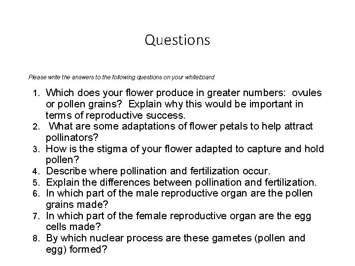 Questions Please write the answers to the following questions on your whiteboard: 1. Which