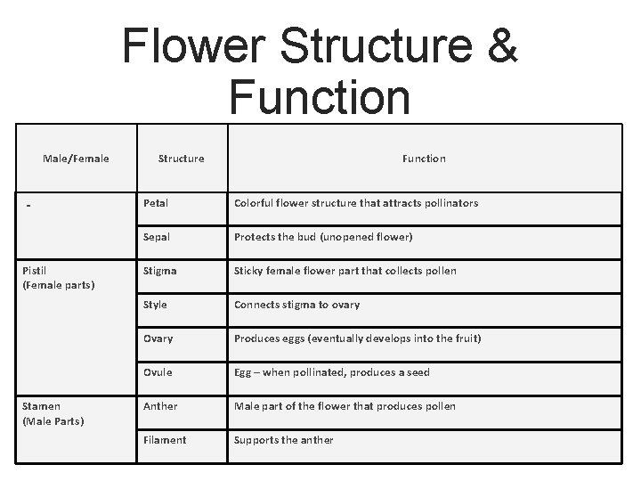 Flower Structure & Function Male/Female - Pistil (Female parts) Stamen (Male Parts) Structure Function