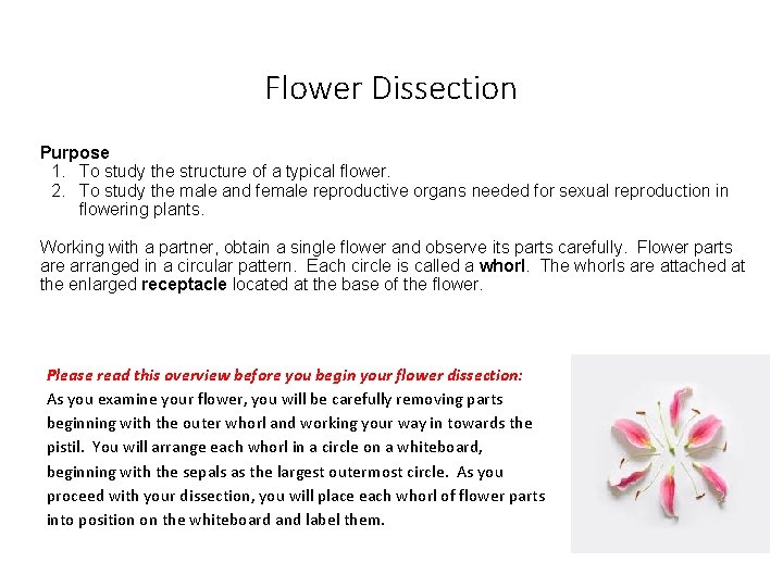 Flower Dissection Purpose 1. To study the structure of a typical flower. 2. To