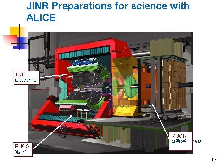 JINR Preparations for science with ALICE TRD Electron ID MUON PHOS m+ m- pairs