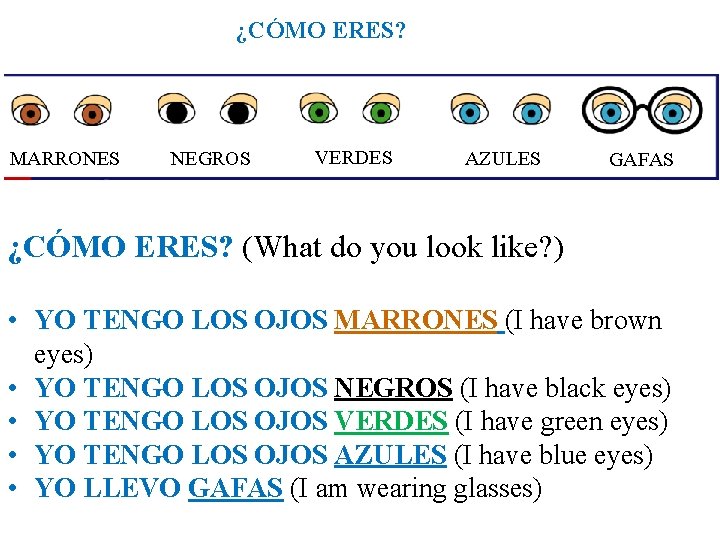 ¿CÓMO ERES? MARRONES NEGROS VERDES AZULES GAFAS ¿CÓMO ERES? (What do you look like?