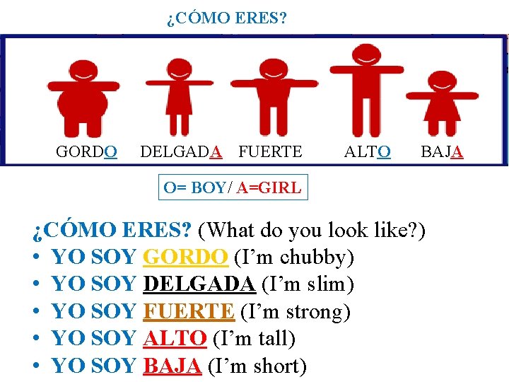 ¿CÓMO ERES? GORDO DELGADA FUERTE ALTO BAJA O= BOY/ A=GIRL ¿CÓMO ERES? (What do