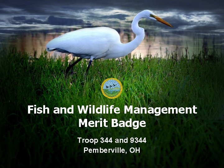 Fish and Wildlife Management Merit Badge Troop 344 and 9344 Pemberville, OH 