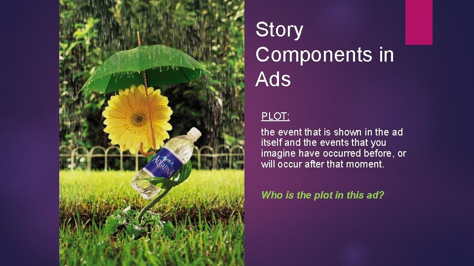 Story Components in Ads PLOT: the event that is shown in the ad itself