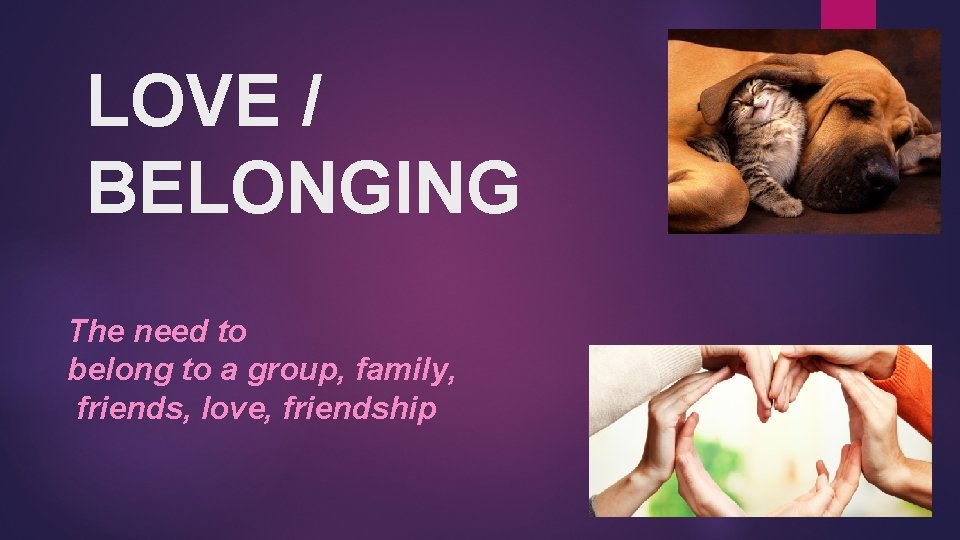 LOVE / BELONGING The need to belong to a group, family, friends, love, friendship