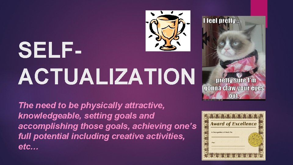 SELFACTUALIZATION The need to be physically attractive, knowledgeable, setting goals and accomplishing those goals,