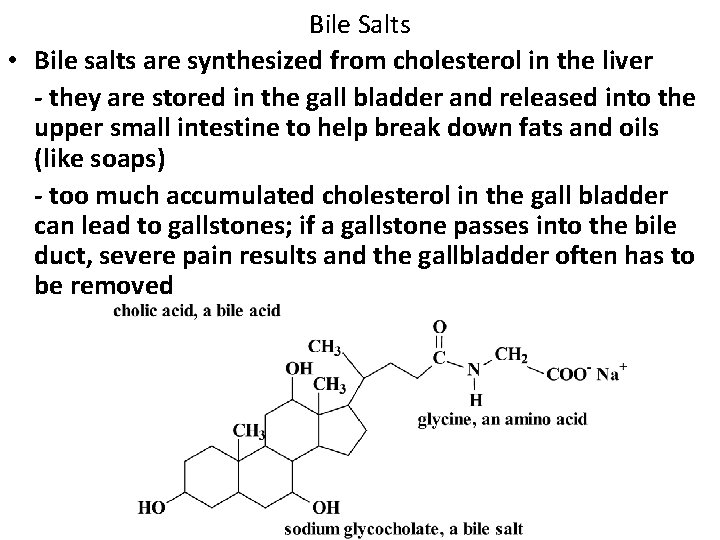 Bile Salts • Bile salts are synthesized from cholesterol in the liver - they