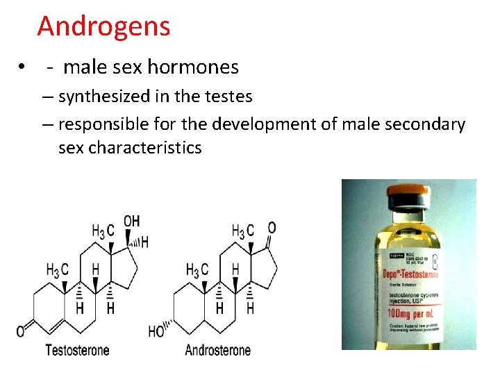 Androgens • - male sex hormones – synthesized in the testes – responsible for