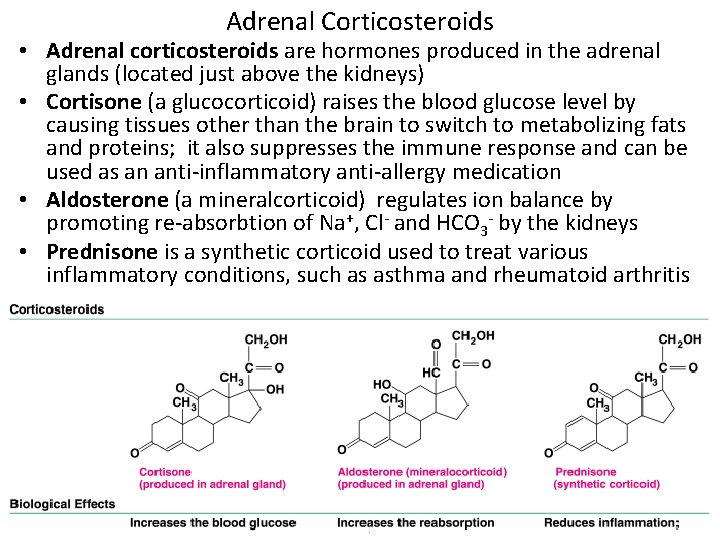 Adrenal Corticosteroids • Adrenal corticosteroids are hormones produced in the adrenal glands (located just