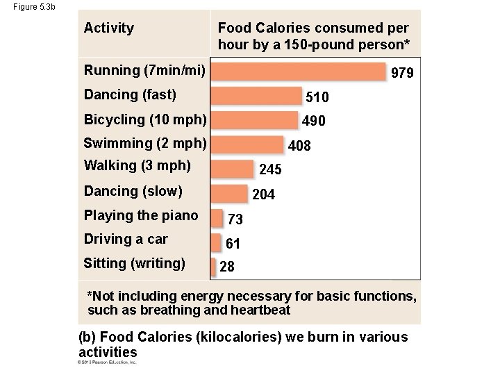 Figure 5. 3 b Activity Food Calories consumed per hour by a 150 -pound