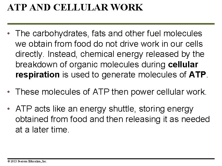 ATP AND CELLULAR WORK • The carbohydrates, fats and other fuel molecules we obtain