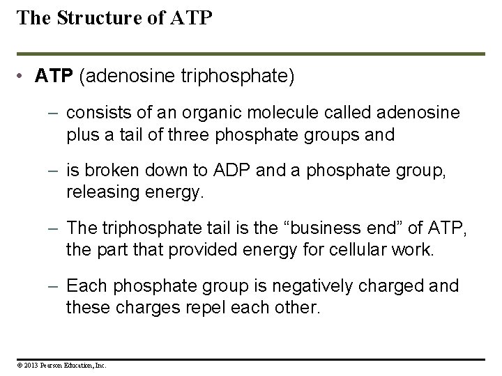 The Structure of ATP • ATP (adenosine triphosphate) – consists of an organic molecule