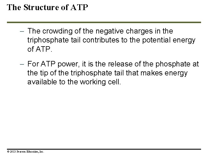 The Structure of ATP – The crowding of the negative charges in the triphosphate