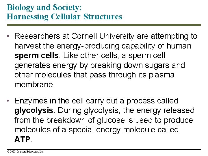 Biology and Society: Harnessing Cellular Structures • Researchers at Cornell University are attempting to