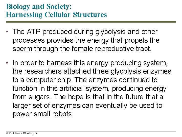 Biology and Society: Harnessing Cellular Structures • The ATP produced during glycolysis and other