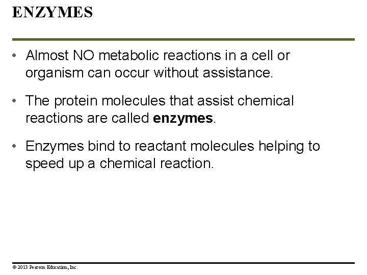 ENZYMES • Almost NO metabolic reactions in a cell or organism can occur without