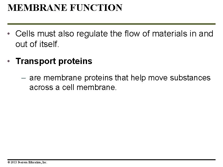 MEMBRANE FUNCTION • Cells must also regulate the flow of materials in and out