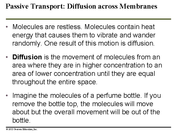 Passive Transport: Diffusion across Membranes • Molecules are restless. Molecules contain heat energy that
