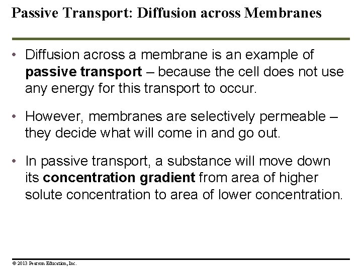 Passive Transport: Diffusion across Membranes • Diffusion across a membrane is an example of