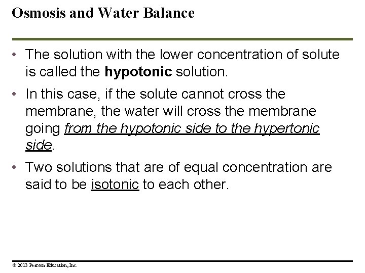 Osmosis and Water Balance • The solution with the lower concentration of solute is