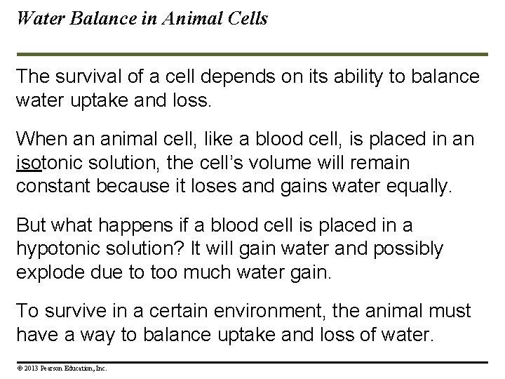Water Balance in Animal Cells The survival of a cell depends on its ability